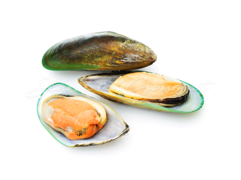 Green Mussels/Half Shell Green Mussels/Green Mussels Meat