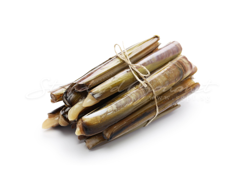 Razor Clam