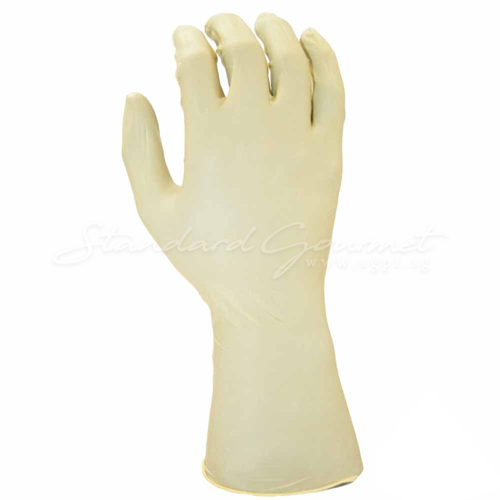 Latex Gloves (100pcs/box)
