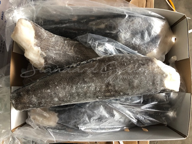 Chilean Seabass/ Cod Fish