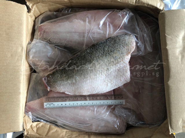 Seabass Fillet